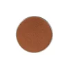 Cannella Ceylon Polvere