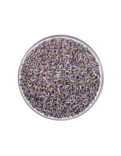 Lavanda Fiori Mondi