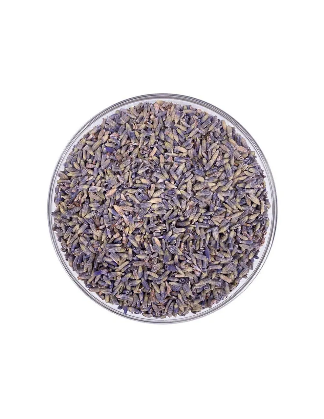 Lavanda Fiori Mondi