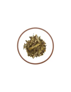 Tè Verde Giapponese Bancha